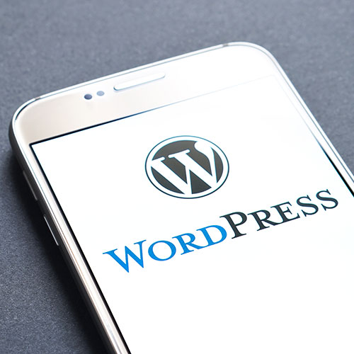 Wordpress-website-custom-based