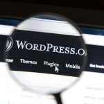 Custom Vs Pre Wordpress theme