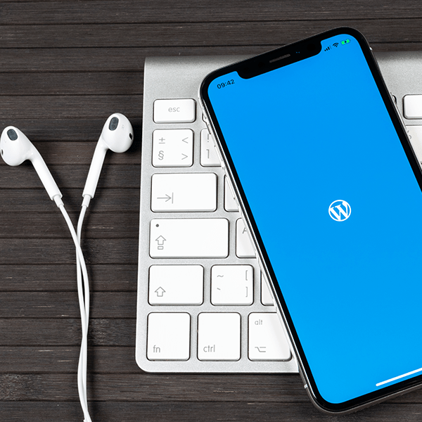 The Pros and Cons of WordPress | Latest Insights 2020